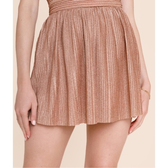 Francesca's Collections Dresses & Skirts - Francesca’s Caitlyn Shiny Mini Skirt
